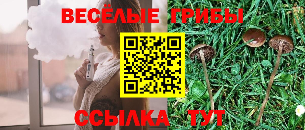 Урюпинск  Галлюциногенные грибы мицелий  Галлюциногенные грибы Magic Shrooms  Вход с VPN 