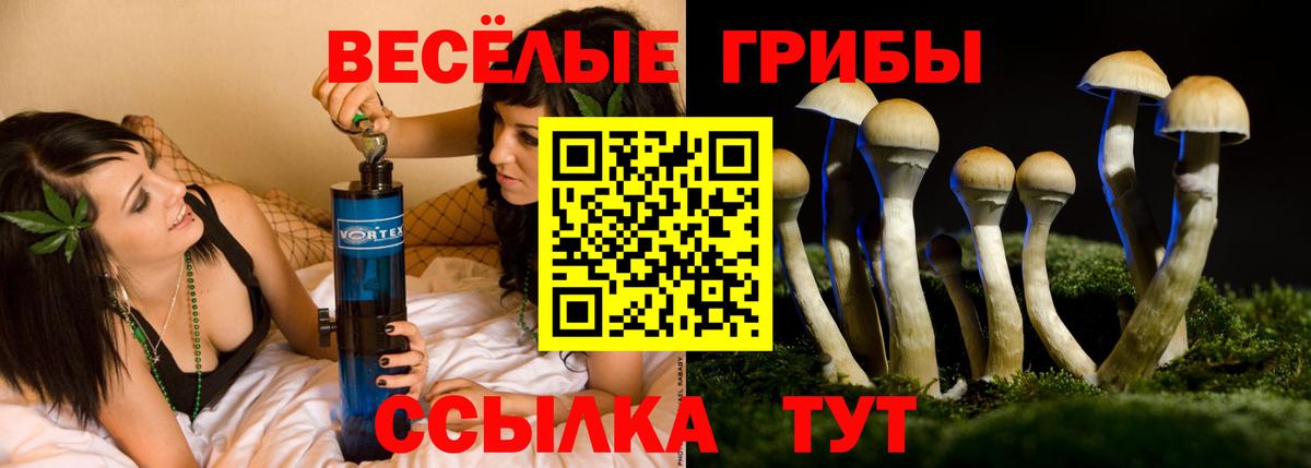 Галлюциногенные грибы ЛСД Урюпинск